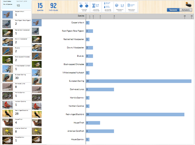 project feederwatch counts.png